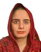 Nida Ihsan, Secondary School Teacher